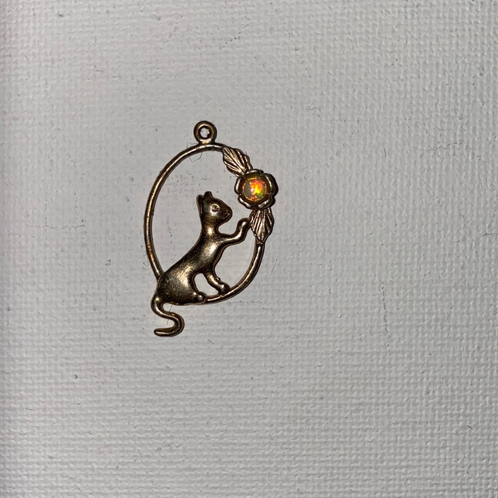 Cat charm